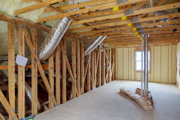Best Geographic-Specific Insulation Services in Zionsville, IN
