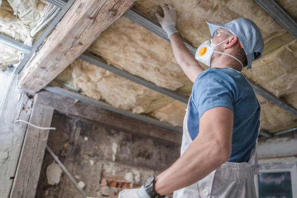 Best Insulation Maintenance and Repair in Zionsville, IN