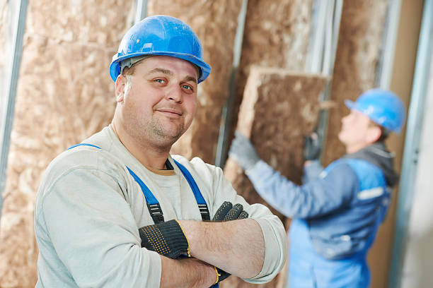 Best Energy Efficiency Insulation in Zionsville, IN